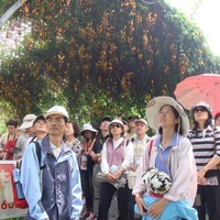 99年5月1日至5月2日本系教職員工與本系校友一同到台中東豐、后里騎鐵馬,夜宿谷關大飯店(溫泉)。隔日,到東勢林場享受森林浴,進行自然生態學習。